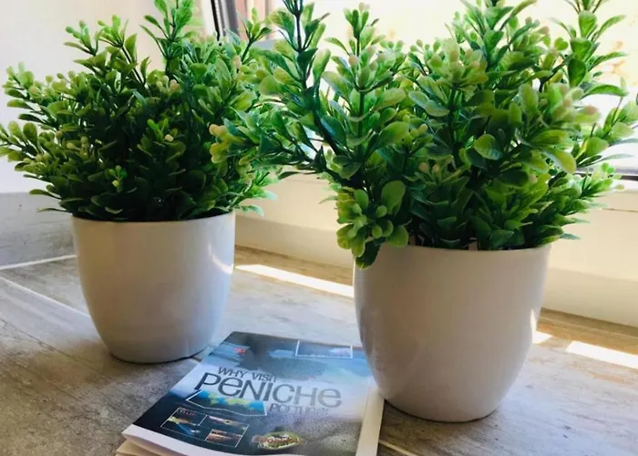 Casa de Férias Swordfish